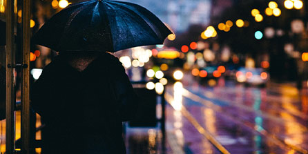 Shams：自由球员杰文-卡特已与魔术达成一份合同